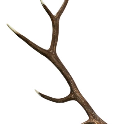 Elk Faux Antler
