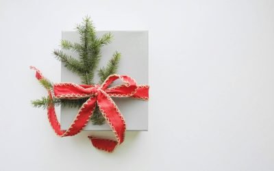 Give The Gift Of A Bison Faux Mount This Holiday Season