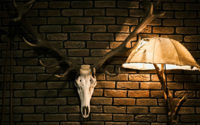 Design Inspiration For Your European Mount